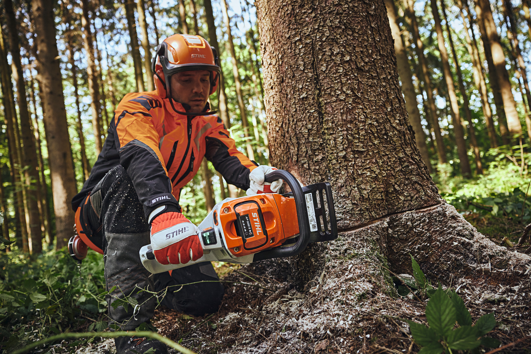 Een man in beschermende STIHL uitrusting zaagt een boomstam door