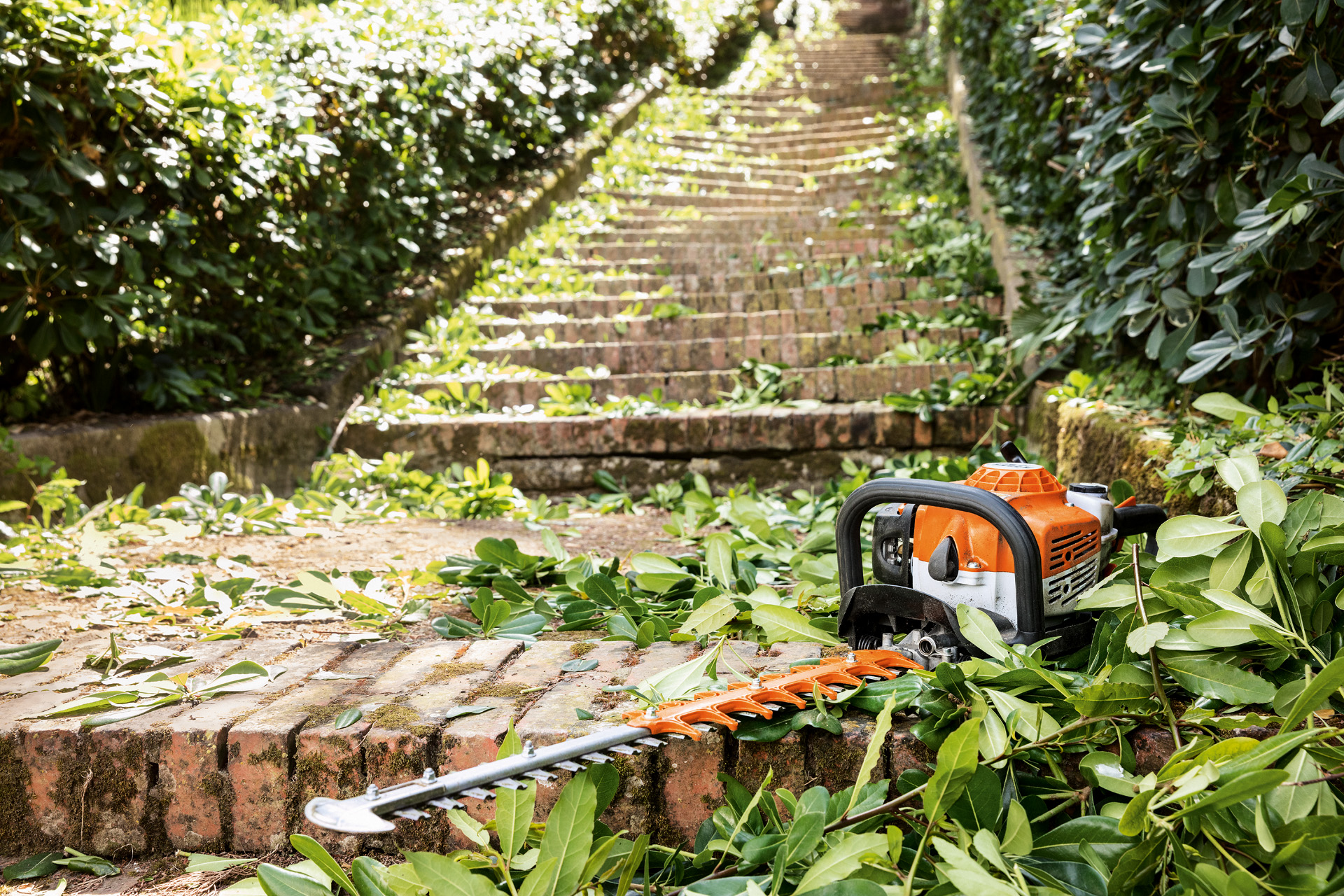 STIHL benzine-heggenschaar HS 82 T ligt voor het onderhoud tussen groene bladeren op een trap