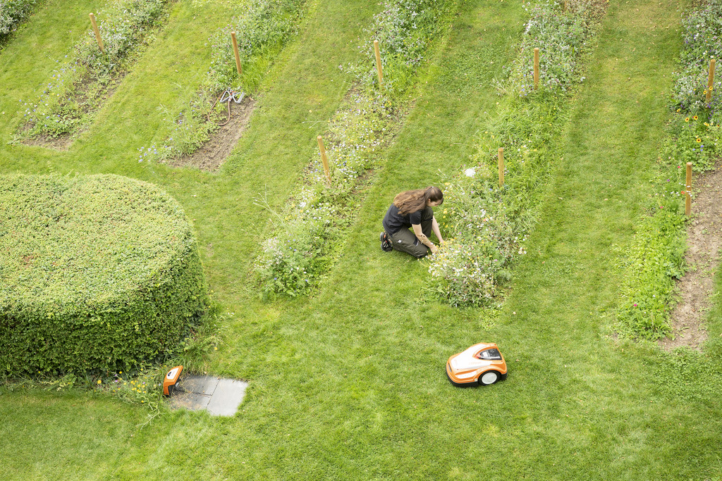 STIHL iMOW® robotmaaier maait gazonranden die bezaaid zijn met bloemen