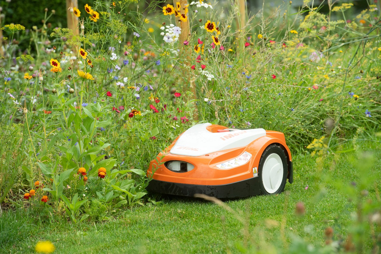 Borders langs gazons gemaaid door robotmaaiers zijn een streling voor het oog en verbeteren de biodiversiteit