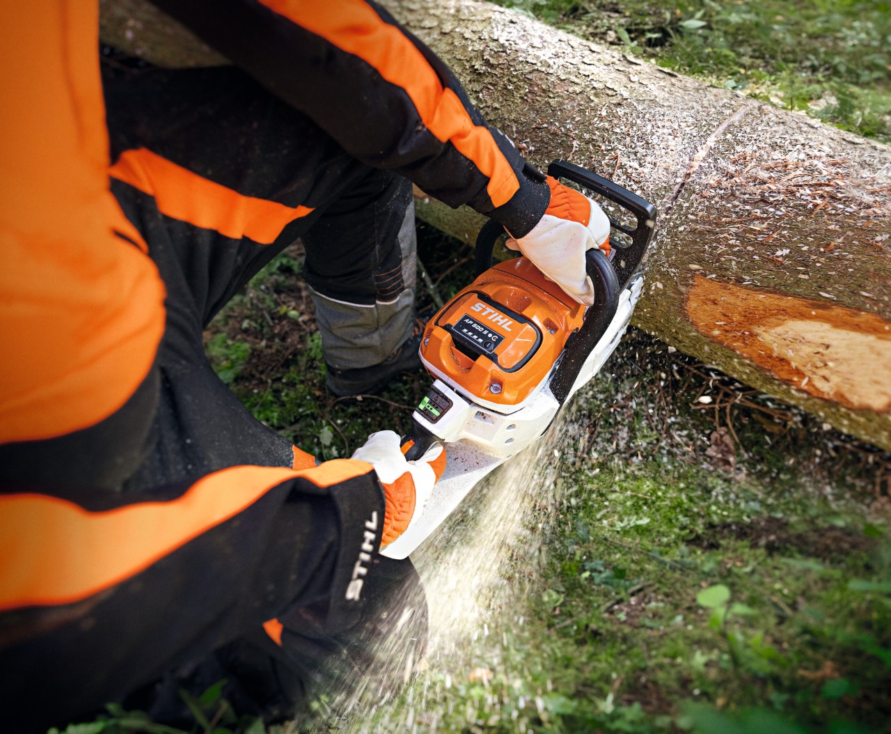 Close-up van iemand die met de STIHL MSA 300 accukettingzaag een boomstam doorzaagt
