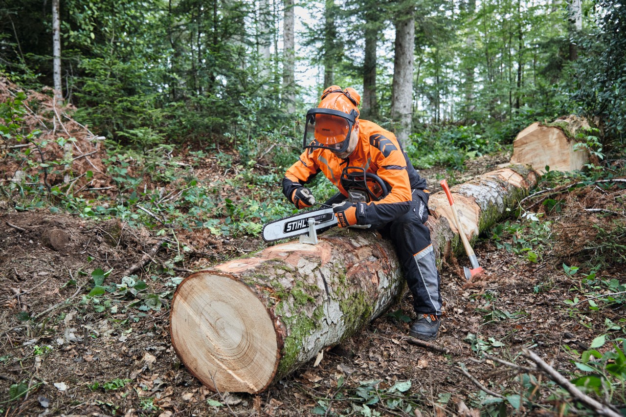 Een man in beschermende uitrusting zaagt met een STIHL kettingzaag met massief zaagblad een gekapte boom in stukken