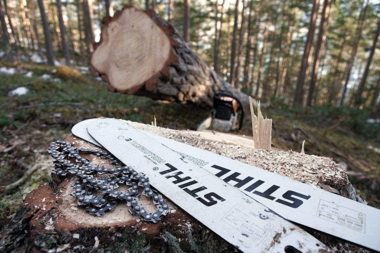 Twee zaagbladen STIHL Rollomatic E liggen op een boomstronk, daarnaast zaagkettingen