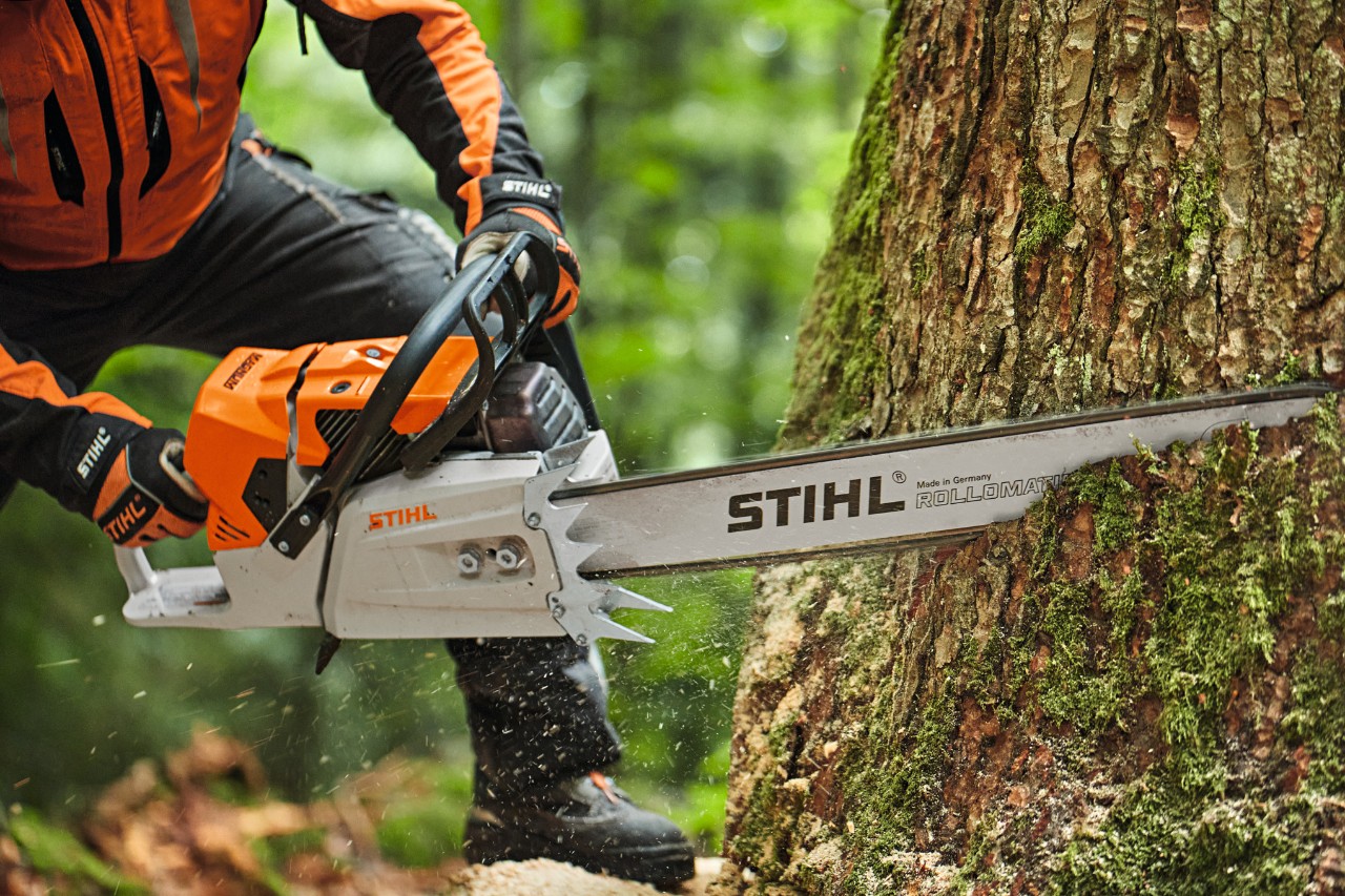 Iemand zaagt een boom met een STIHL MS 881 benzinekettingzaag met kopzaagblad
