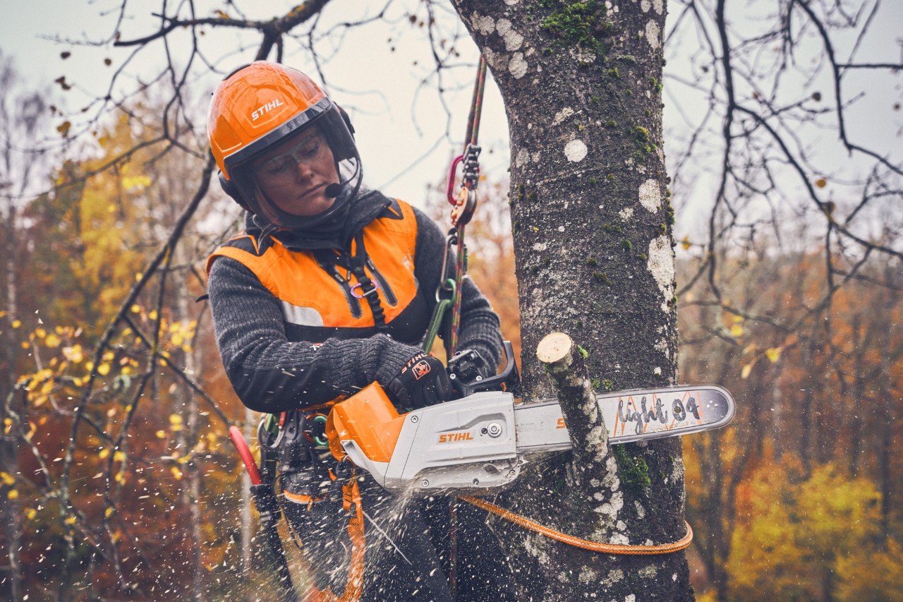 Boomverzorgster Viktoria Carstens hangt met een veiligheidslijn aan de boom