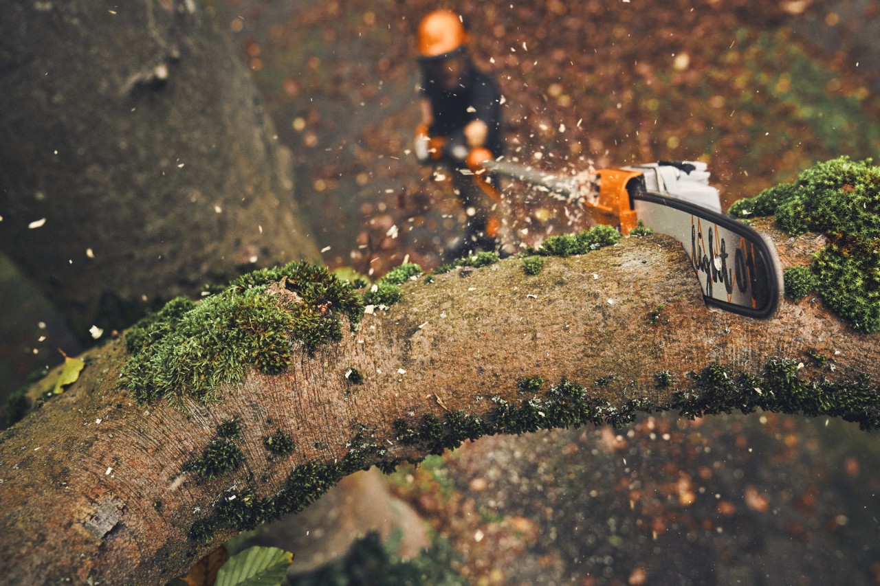 Een man snoeit met de STIHL HTA 160 accuhoogsnoeier takken van een boom