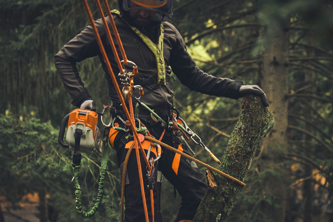 Man staat op een hoogwerker en zaagt takken met de STIHL MSA 190 T accukettingzaag