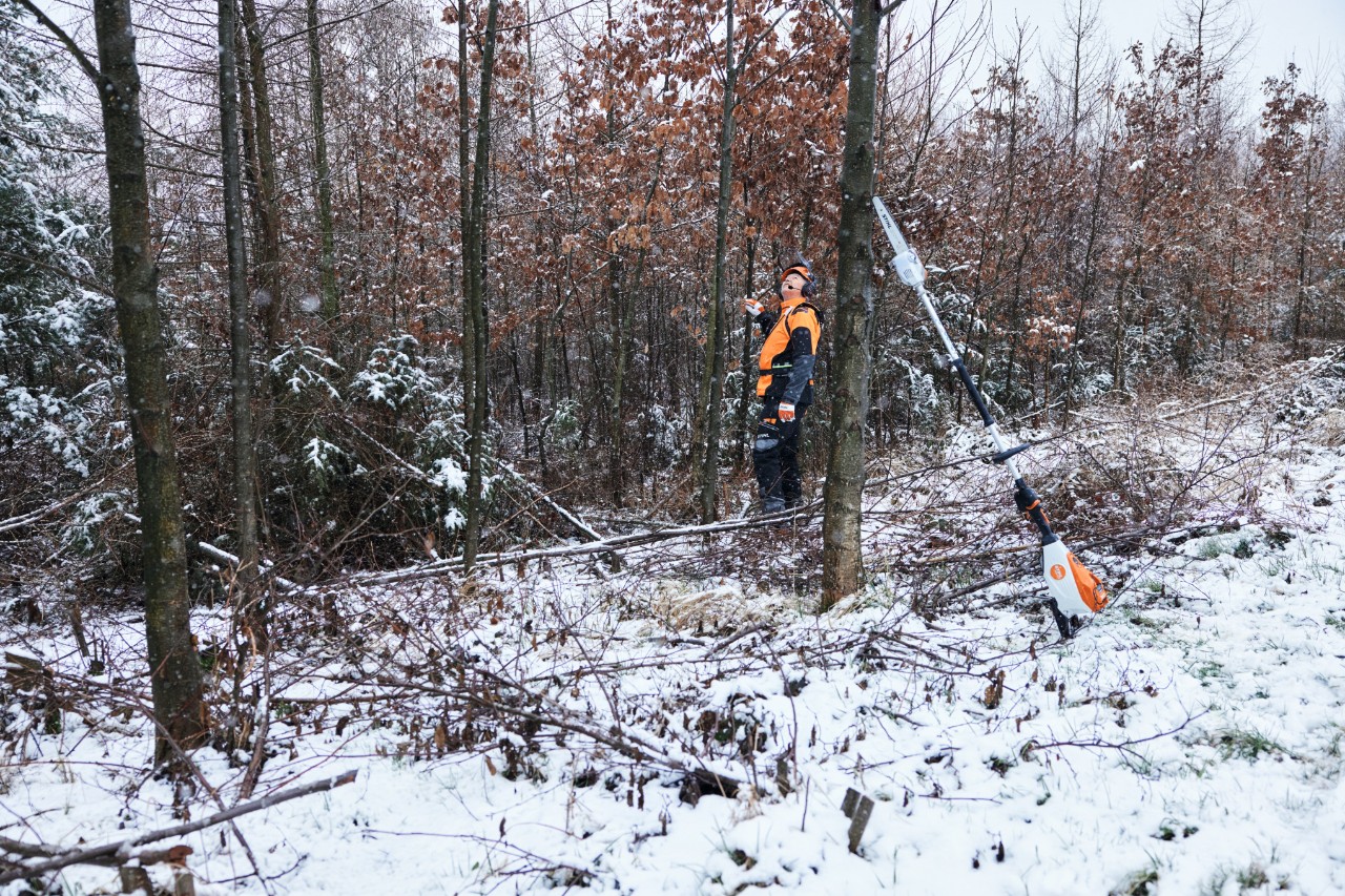 Een man werkt in een besneeuwd bos met persoonlijke beschermingsmiddelen. Op de voorgrond staat een STIHL HTA 150 accuhoogsnoeier tegen een boomstam geleund.