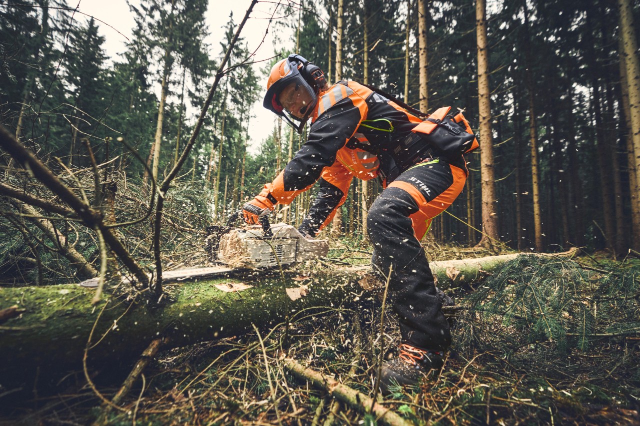 Houthakkers ontwortelen bomen met een STIHL MSA 300 accukettingzaag en zijn uitgerust met een complete bosbouw-PBM.
