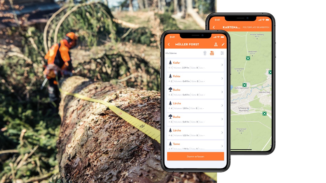Collage met een boom met meetlint en smartphones met de STIHL Houtlijst-app geopend