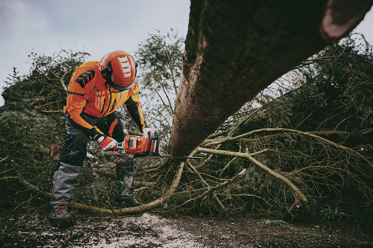 Bosarbeider met PBM bosbouw en snijbeschermingsklasse 1 snoeit boomstam met de STIHL MSA 300 accukettingzaag