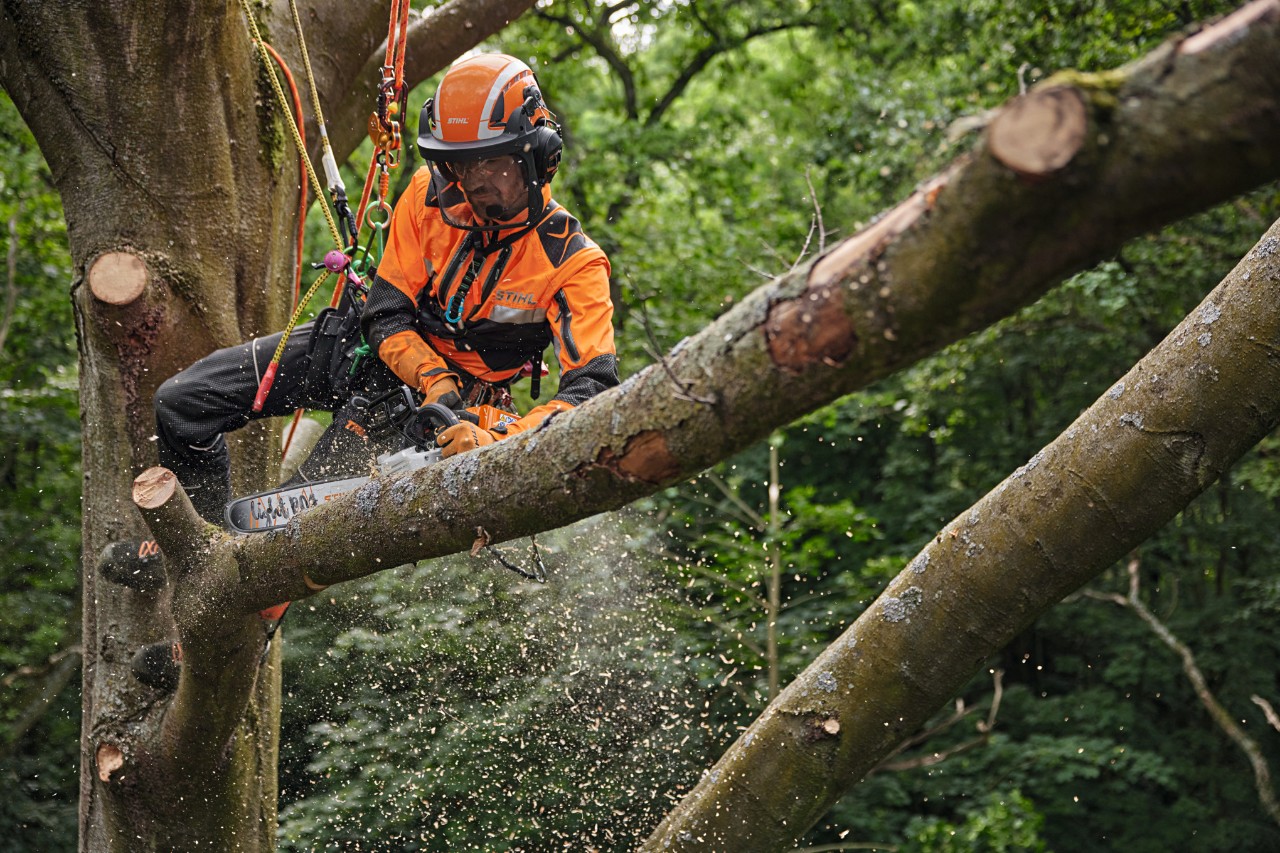 Boomverzorger werkt met de STIHL MSA 220 TC-O accukettingzaag in de boomkruin, uitgerust met persoonlijke beschermingsmiddelen bosbouw