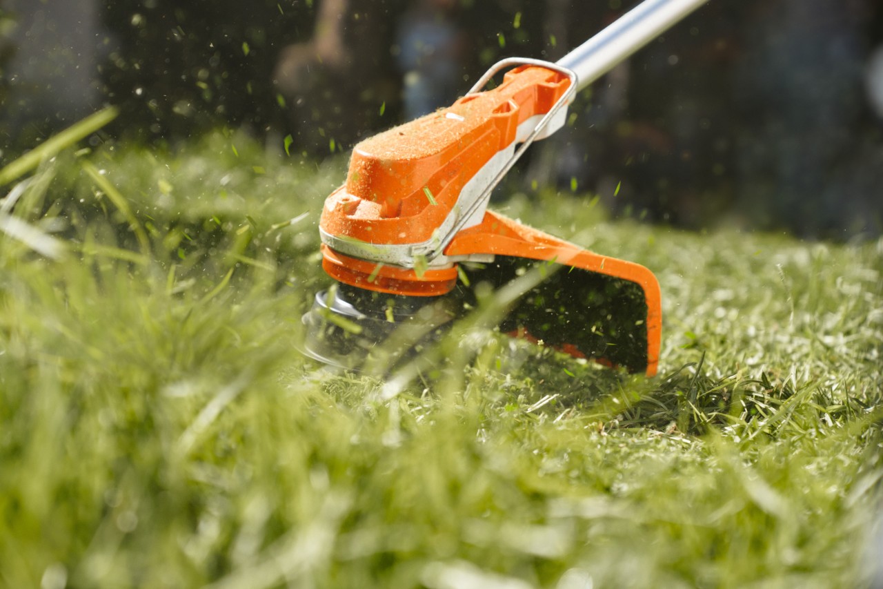 STIHL zaagkettingen en zaagbladen op een boomstronk in het bos, op de achtergrond een pas omgezaagde boom