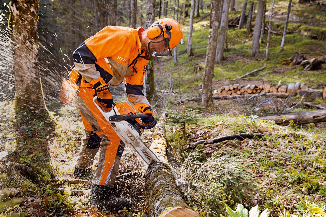 Bosarbeider in STIHL veiligheidskleding en Dynamic Vent broek (snijbeschermingsklasse 1) zaagt boom in het bos met STIHL kettingzaag