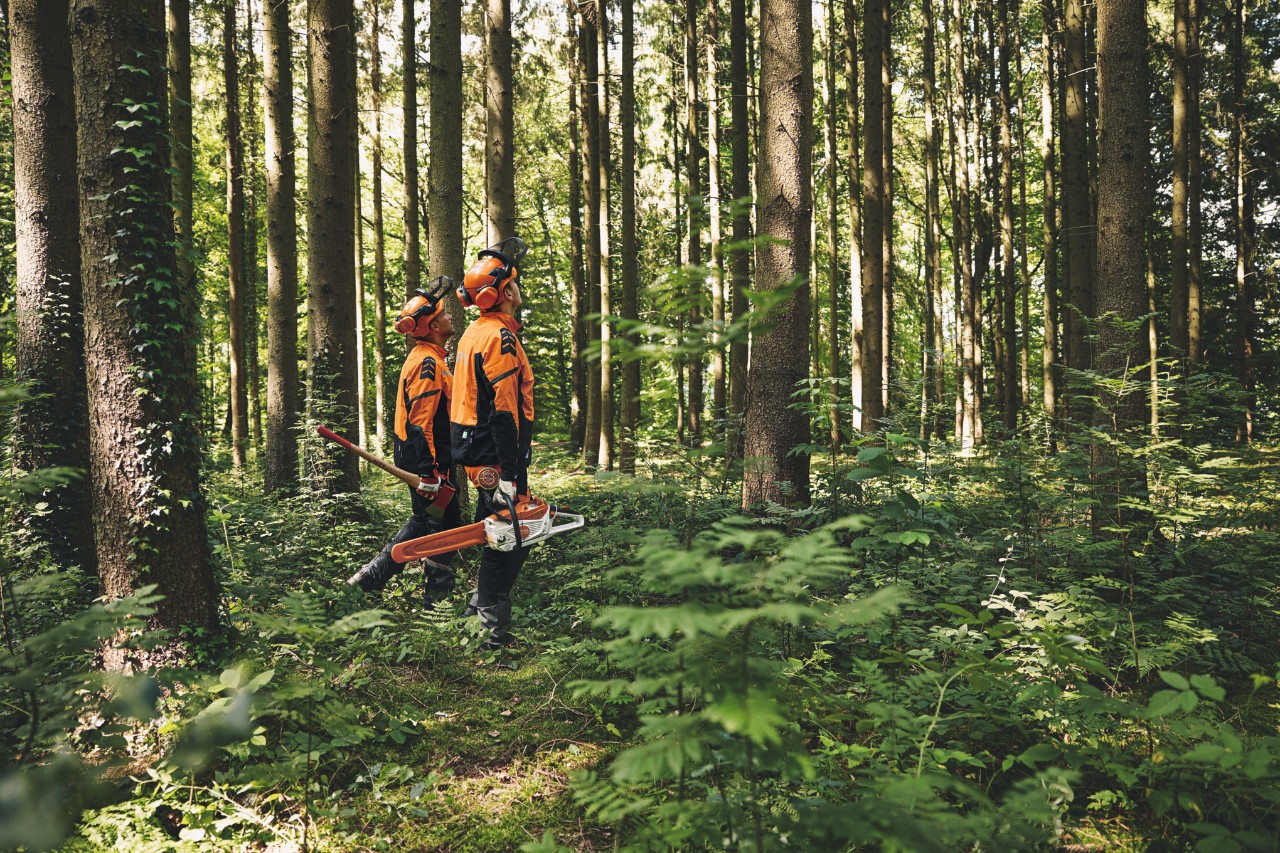 Twee mannen in beschermende uitrusting lopen met een bosbouwbijl en een STIHL accukettingzaag door het bos. Ze kijken naar boven