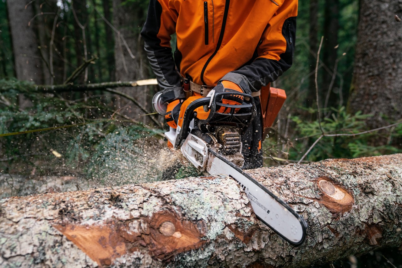 Een gekapte boomstam wordt op de grond gezaagd met een STIHL MS 400 C-M benzinekettingzaag met magnesiumzuiger