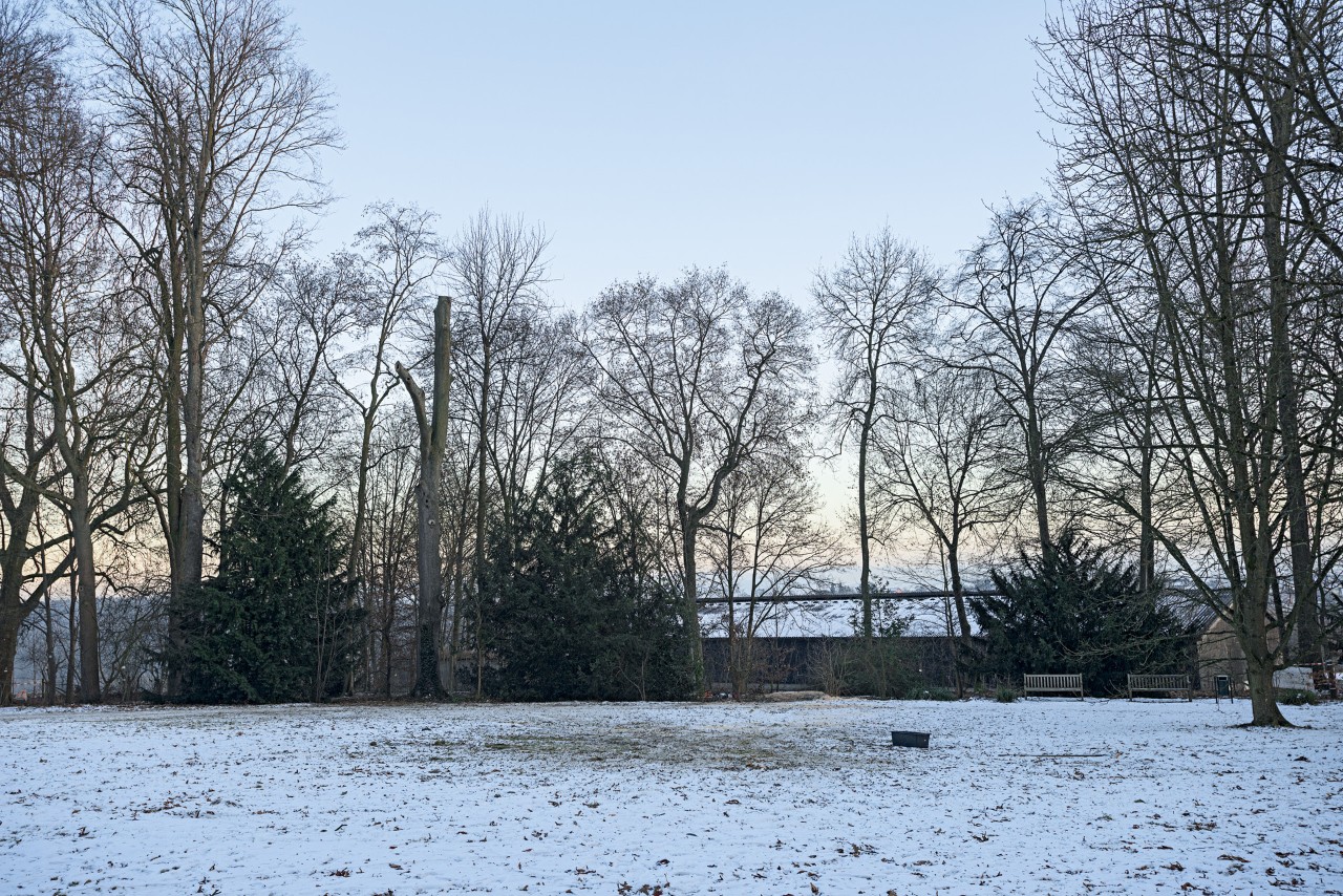 Met sneeuw bedekte open plek in het bos tussen kale bomen