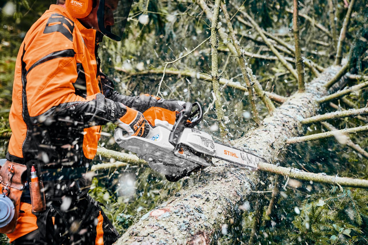 Man in veiligheidsuitrusting verzaagt boom met STIHL benzinekettingzaag met M-Tronic en zaagblad Light 04