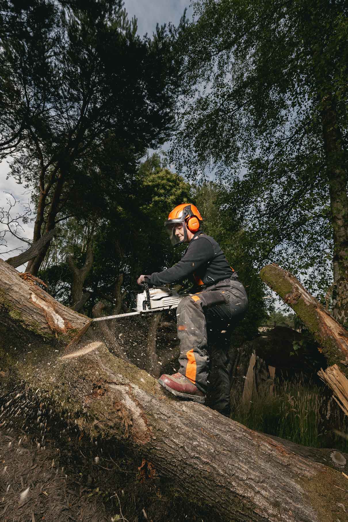 Astrid zaagt een boom door in safaripark Beekske Bergen