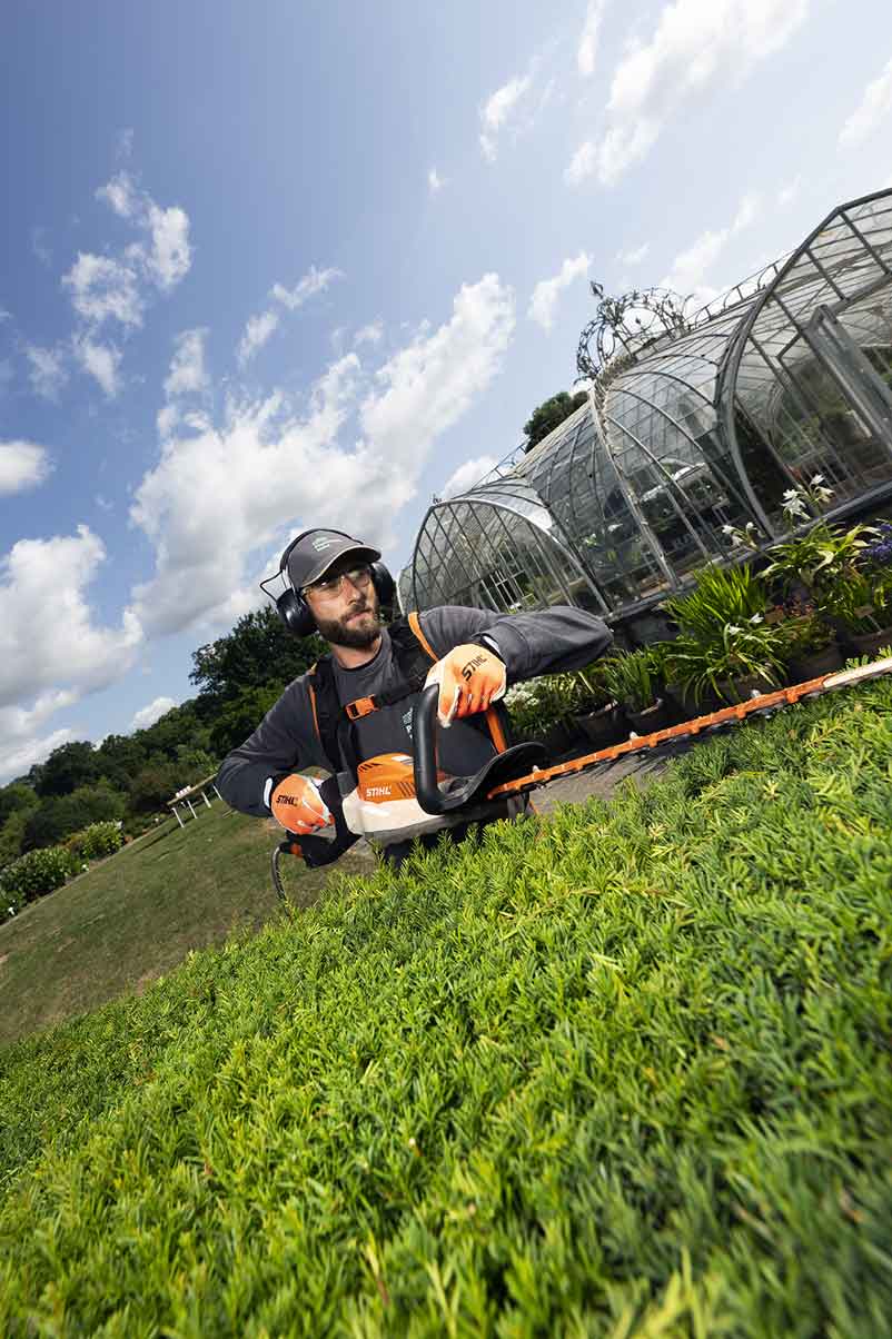 Hagen snoeien in de Plantentuin van Meise