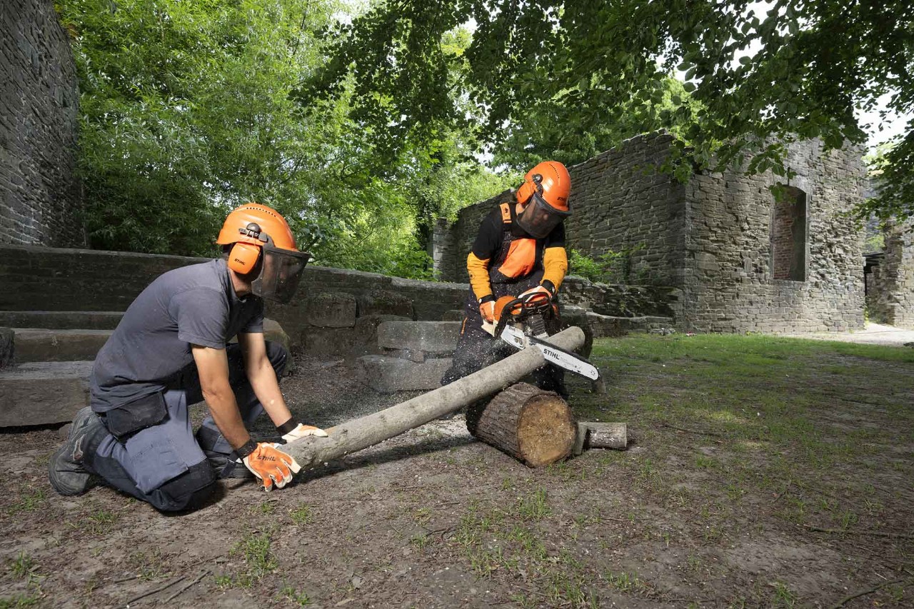 Hout zagen op de site van de Abdij van Villers