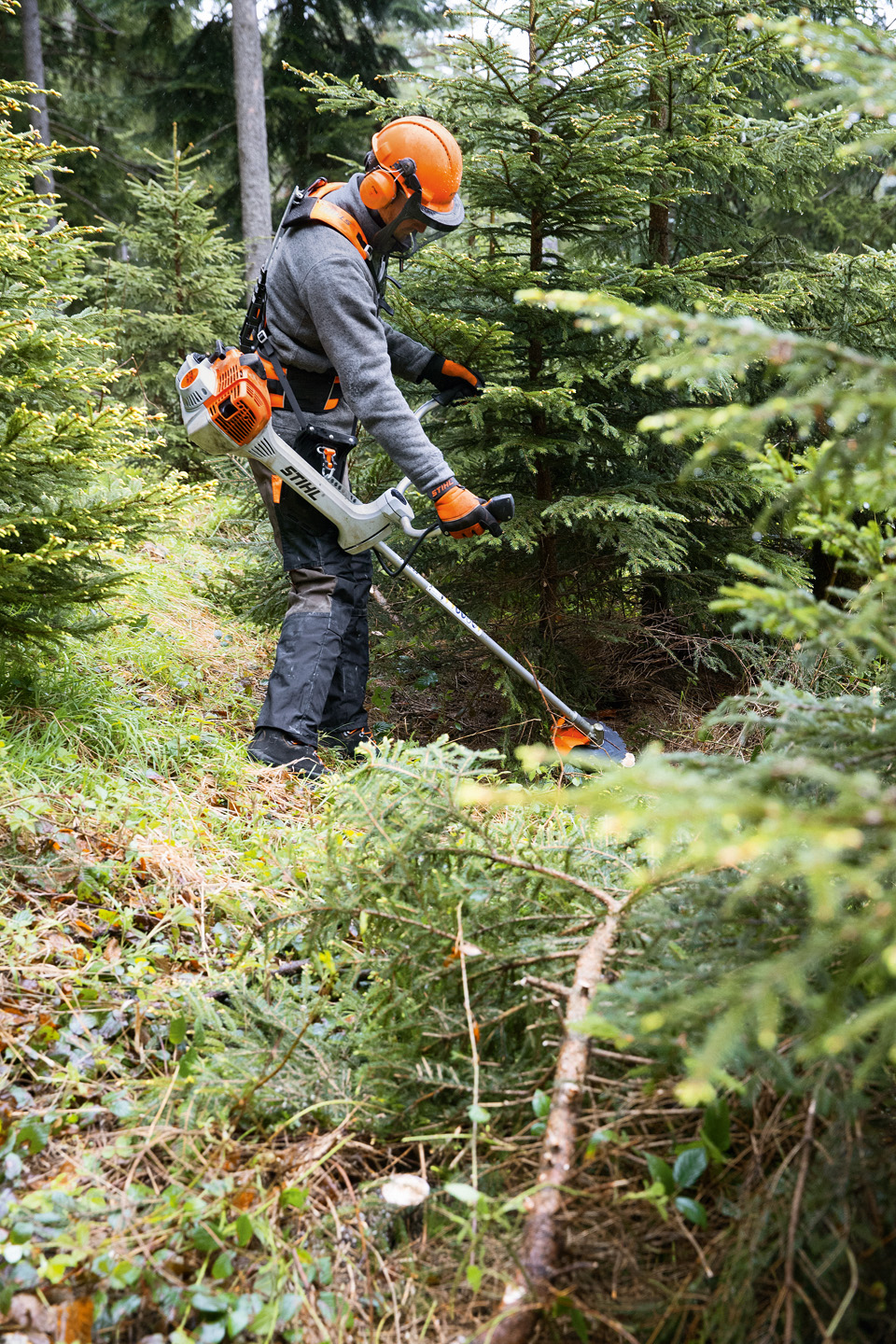 Bosarbeider met veiligheidsuitrusting en STIHL bosmaaier in draagriem Advance X-Treem in naaldbos