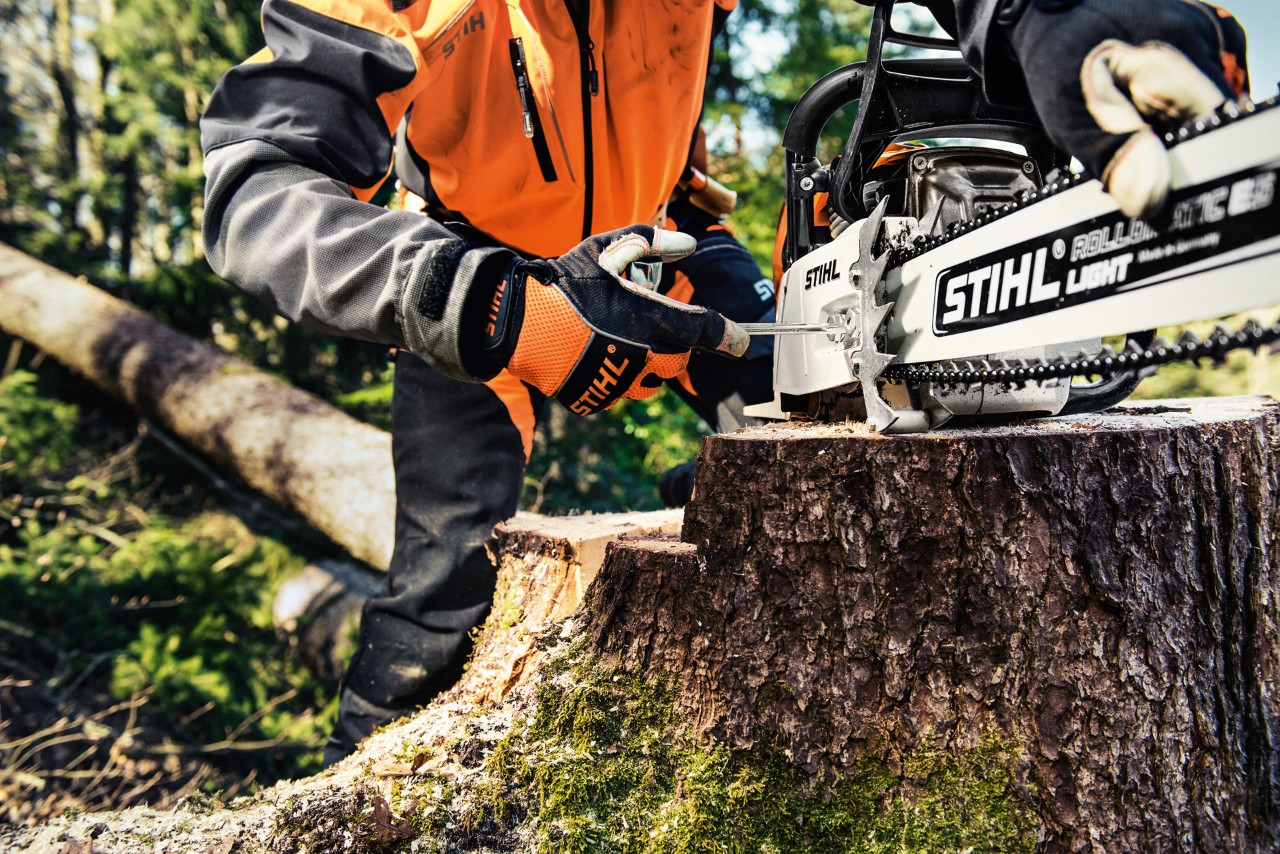 STIHL benzinekettingzaag MS 461 op een boomstronk, daarachter een persoon in veiligheidskleding