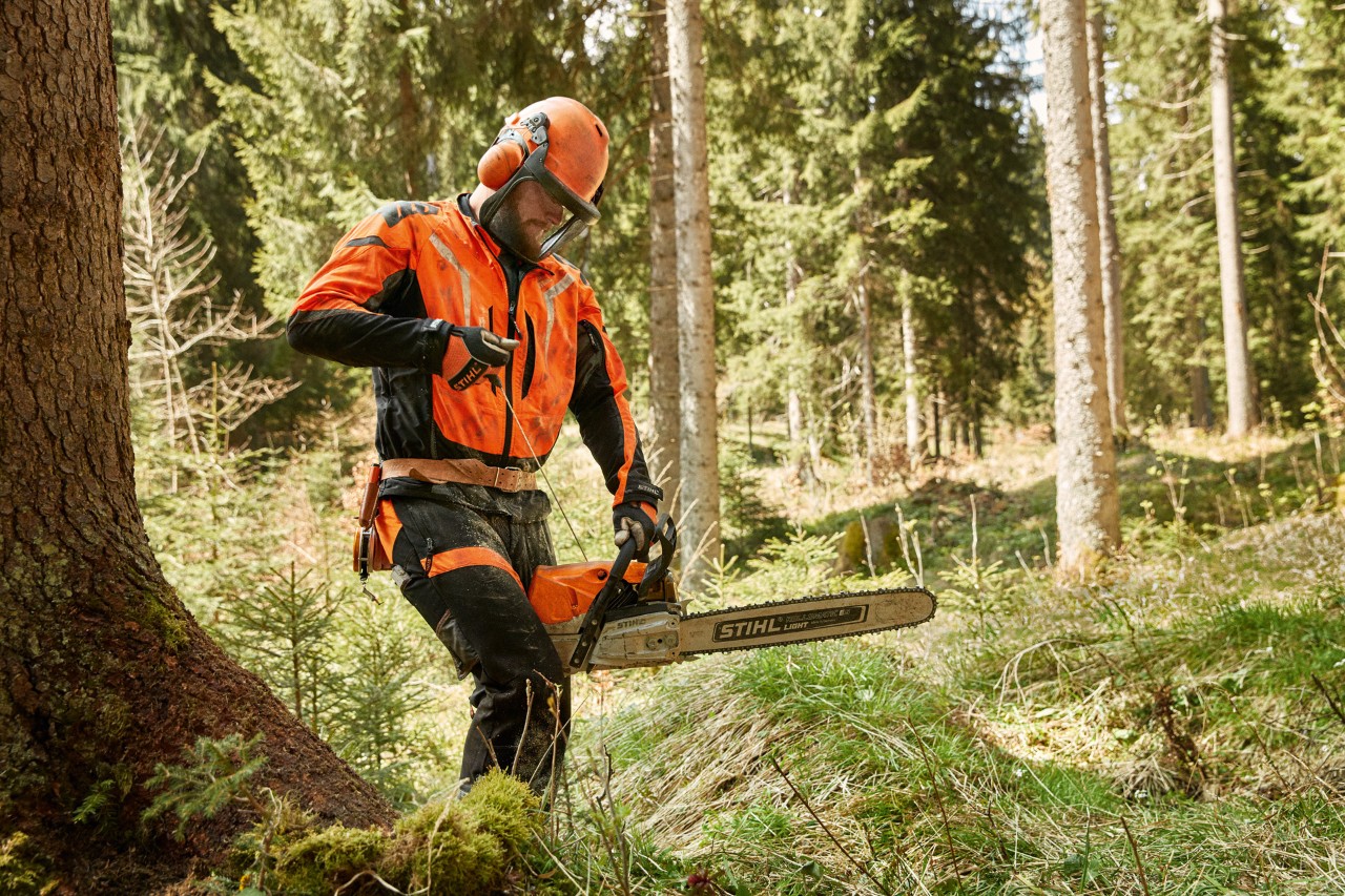 Een bosarbeider met veiligheidsuitrusting start een STIHL benzinekettingzaag MS 462 C in een naaldbos.