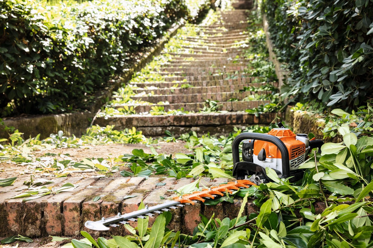 STIHL benzine-heggenschaar HS 82 T ligt voor het onderhoud tussen groene bladeren op een trap