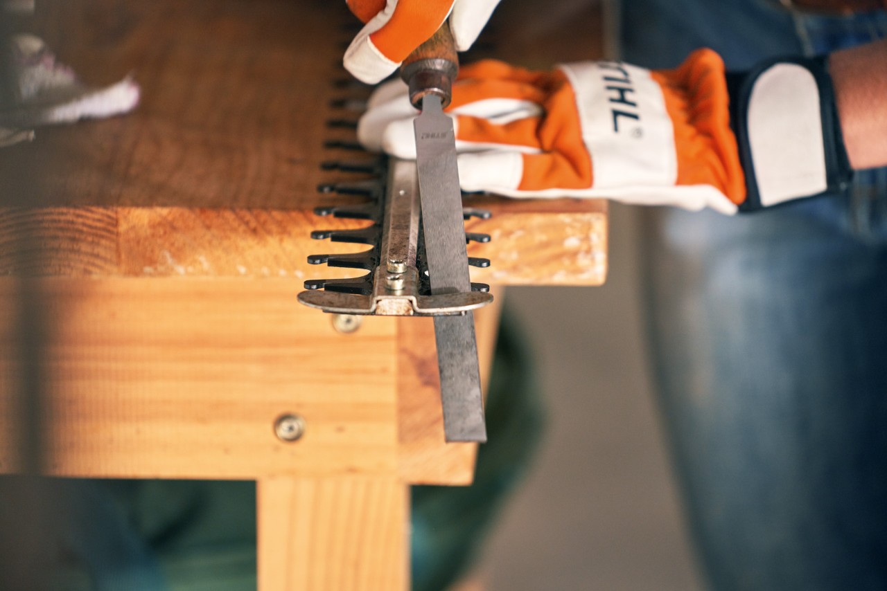 STIHL HSA 56 accuheggenschaar wordt geslepen met een platte vijl
