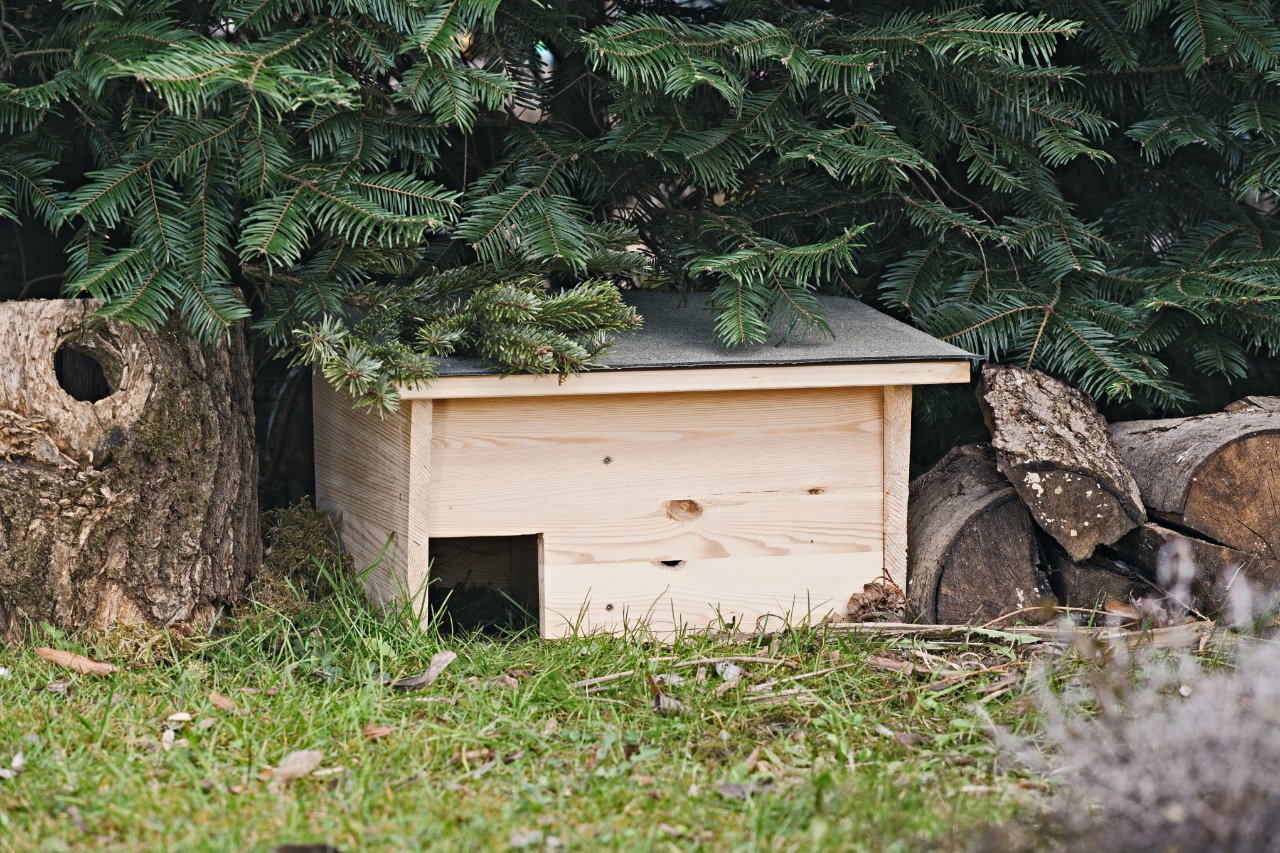 Een zelfgemaakt egelhuisje in een tuin onder een boom.