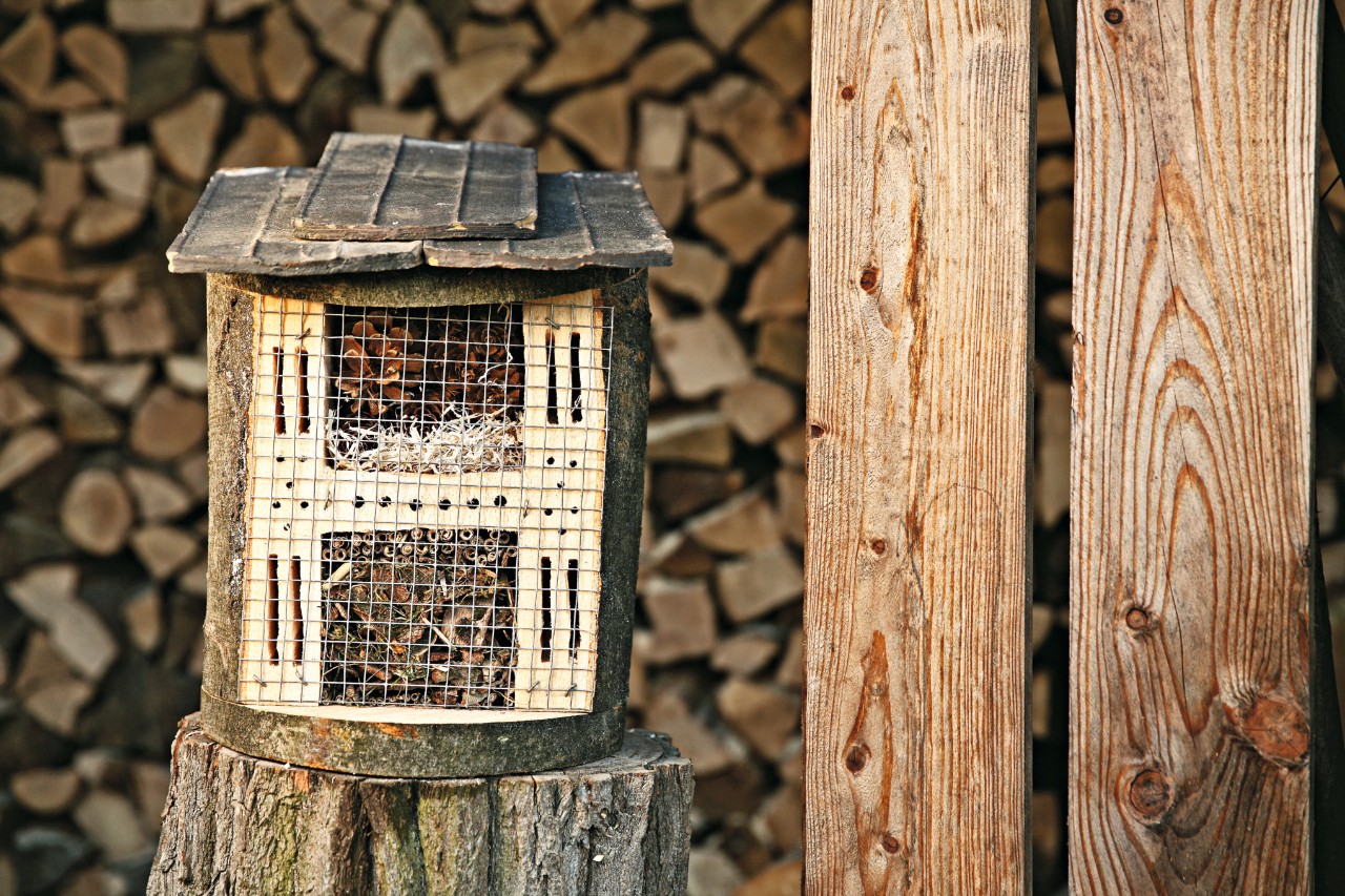Een doe-het-zelf insectenhotel