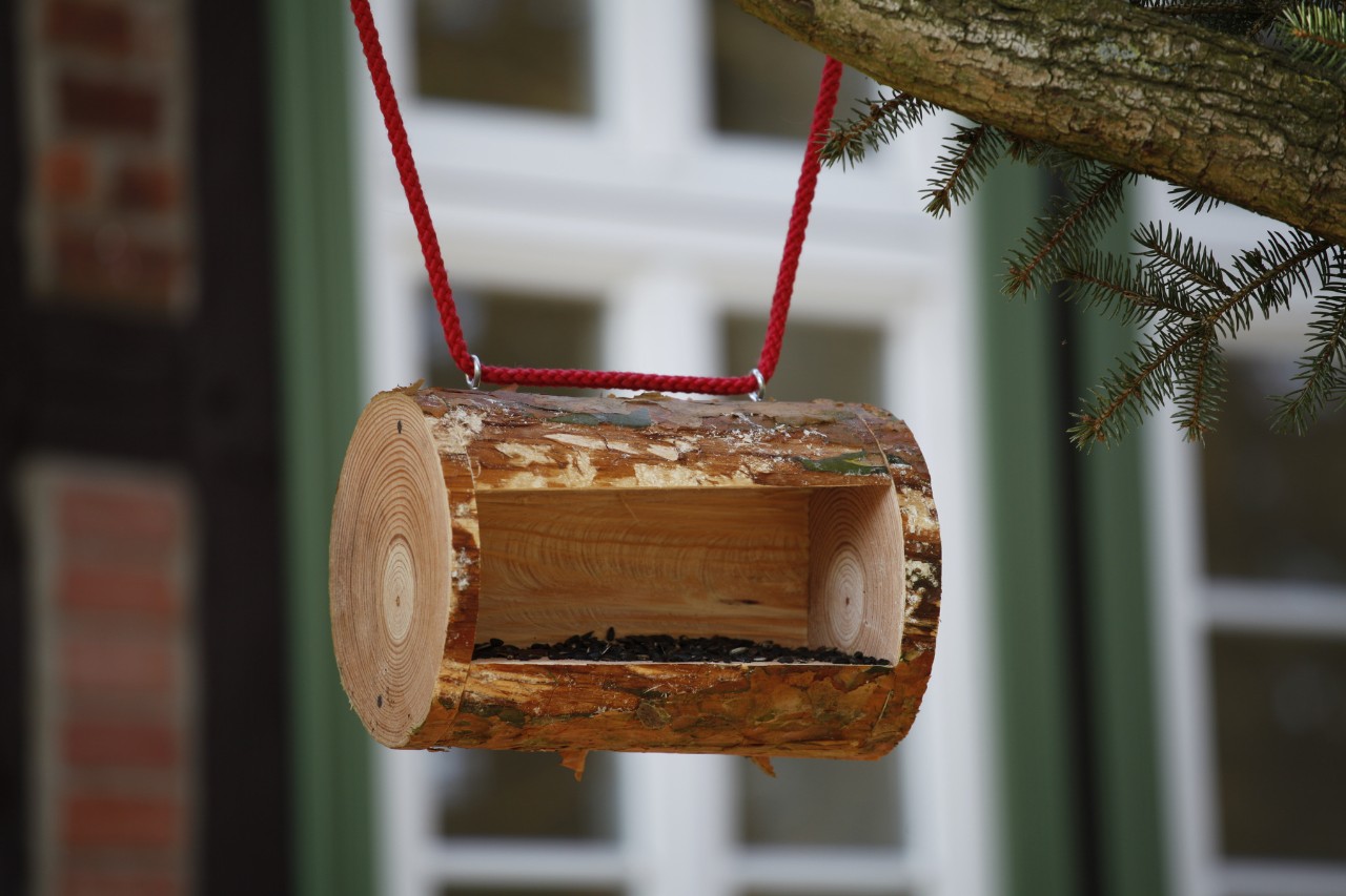 Een afgewerkt vogelvoederhuisje, vastgemaakt aan een tak met een rood touw