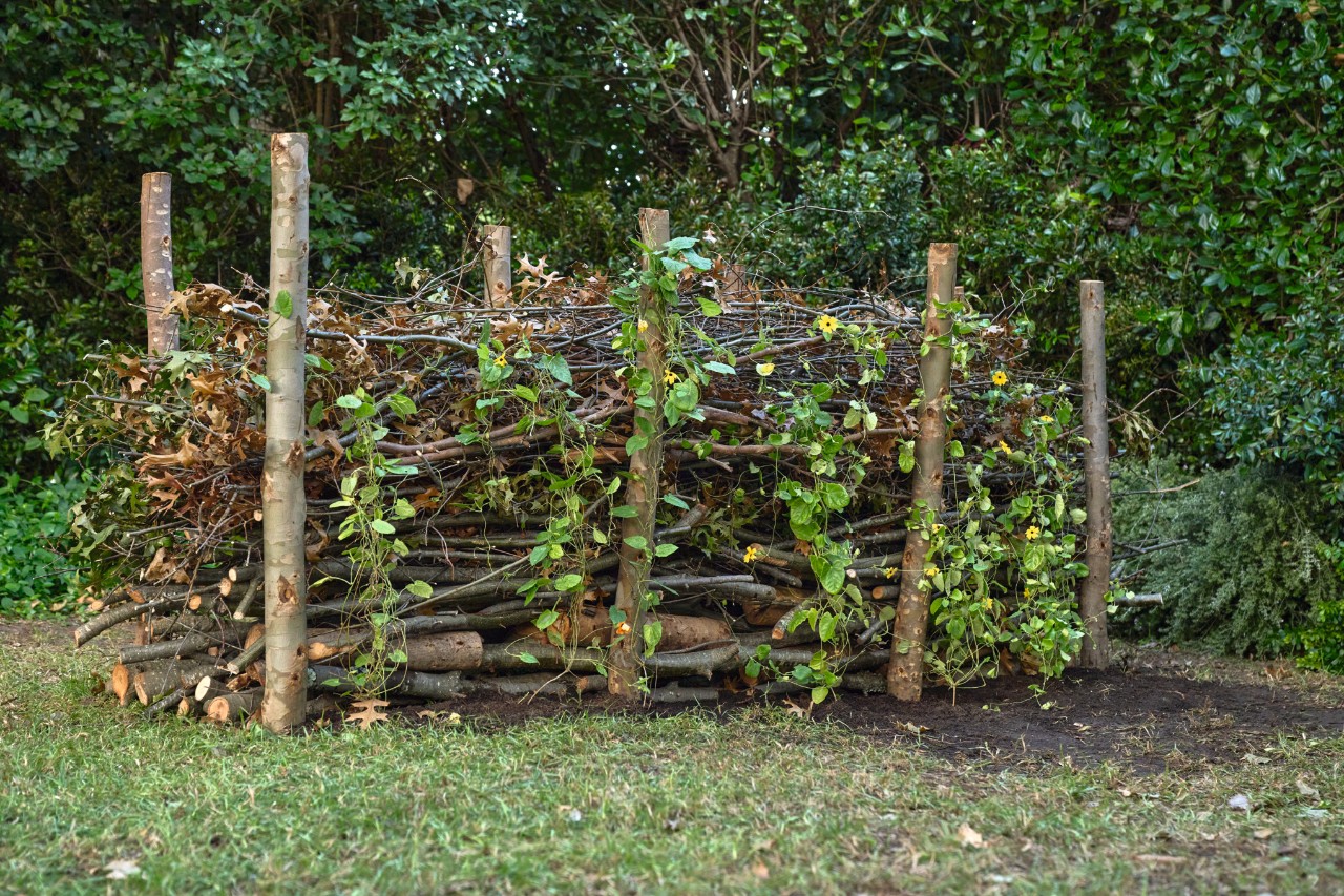 Takkenwal bedekt met klimplanten