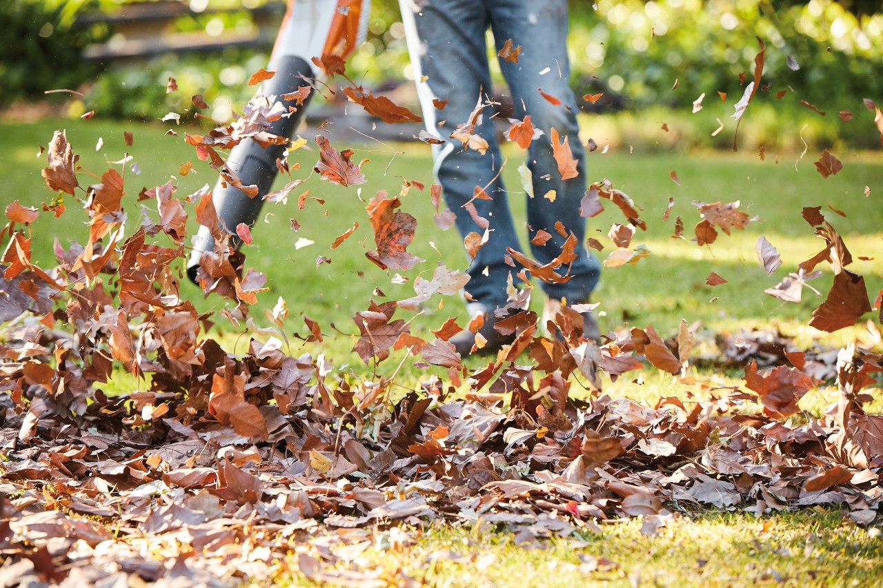Bruine herfstbladeren worden met de STIHL accubladblazer BGA 57 verwijderd van een groen gazon