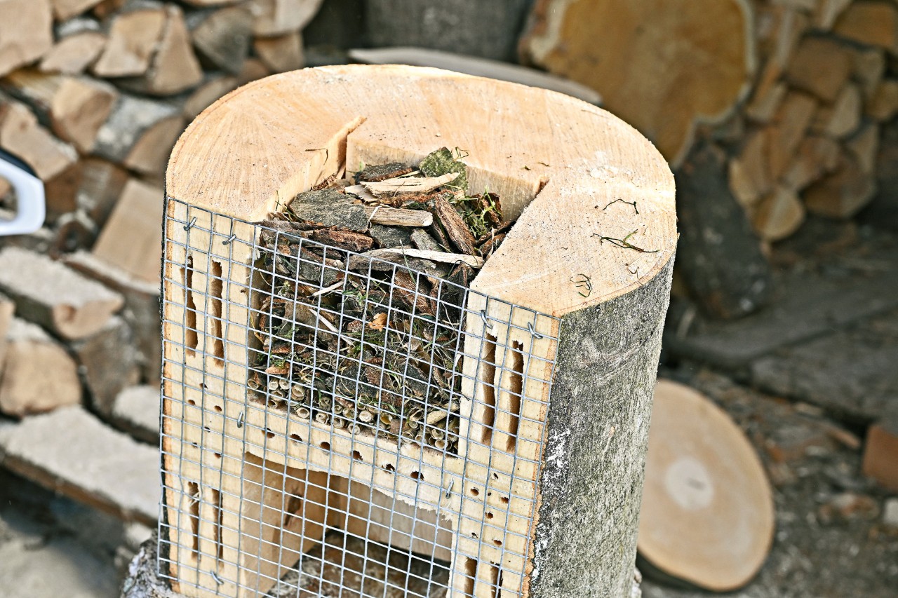 Onderste gedeelte van een zelfgemaakt insectenhotel, gevuld met gemulchte schors en rietstengels.