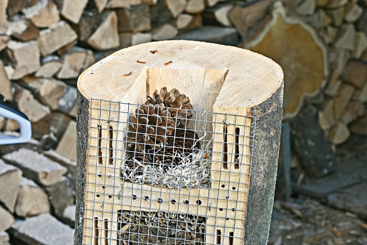 Insectenhotel met in het bovenste gedeelte houtwol en dennenappels, in het onderste gedeelte gemulchte schors en rietstengeltjes