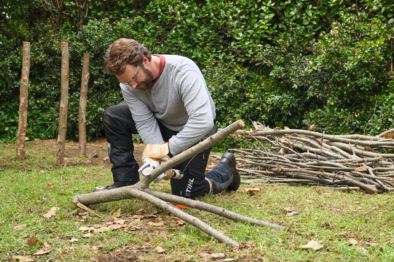 Een man snoeit grote takken in de gewenste lengte met een STIHL GTA 26 snoeischaar