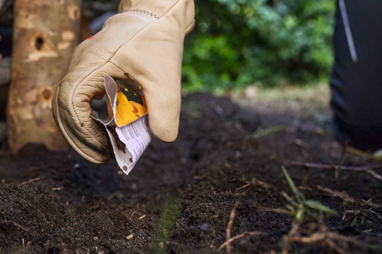 Close-up van iemand die plantenzaden verdeelt