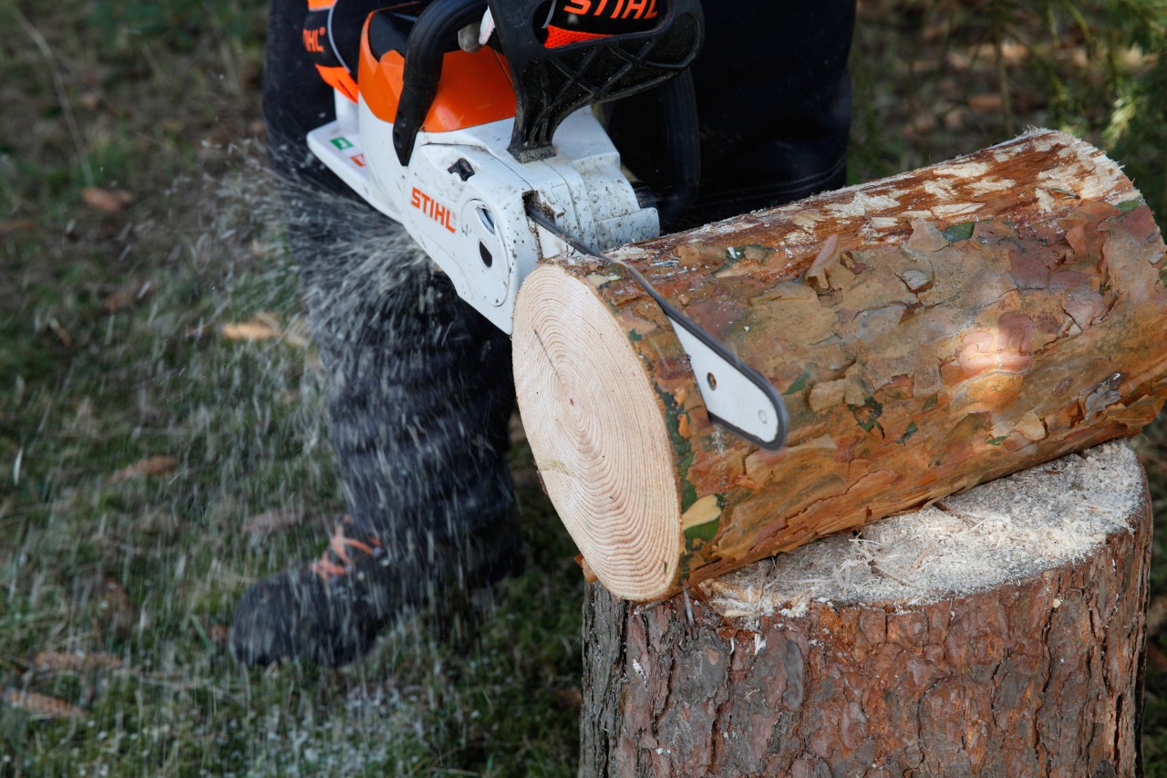 Vogelvoederhuis: een schijf wordt van de boomstam gezaagd met een STIHL MSA 140 C accukettingzaag