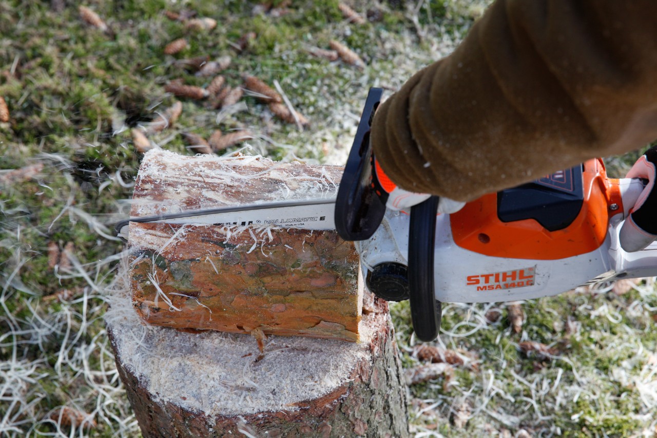 Vogelvoederhuisje maken: zagen in de lengte in een boomstam met een STIHL MSA 140 C accukettingzaag