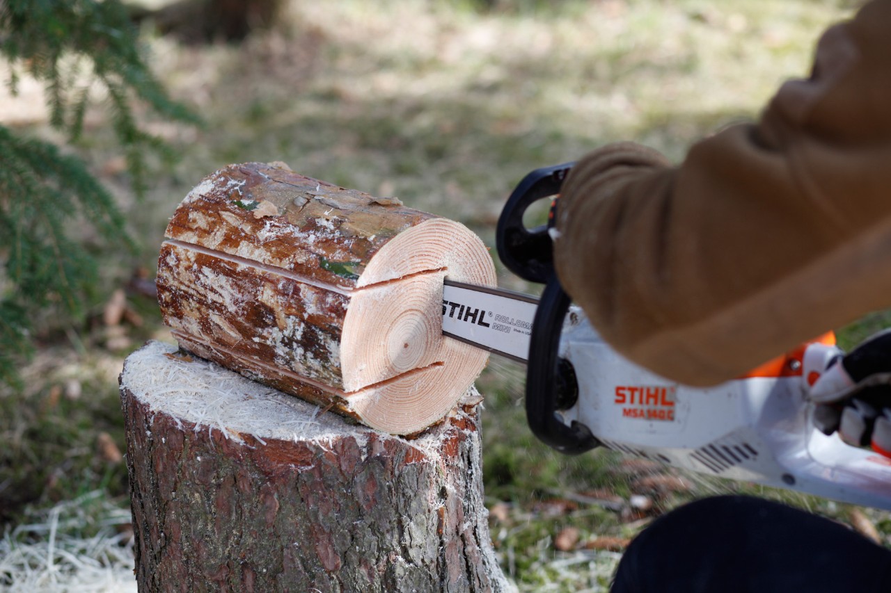 Vogelvoederhuis: insteeksnede in een boomstam met een STIHL MS 140 C kettingzaag om de lange zaagsneden te verbinden