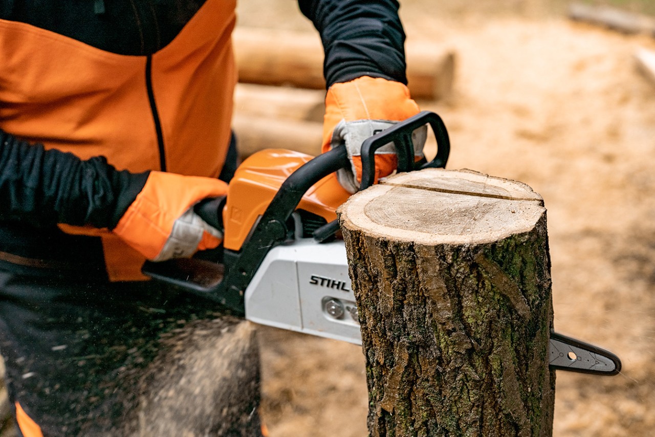 Aan één zijde van de boomstam wordt hout weggezaagd met een STIHL MS 170 benzinekettingzaag