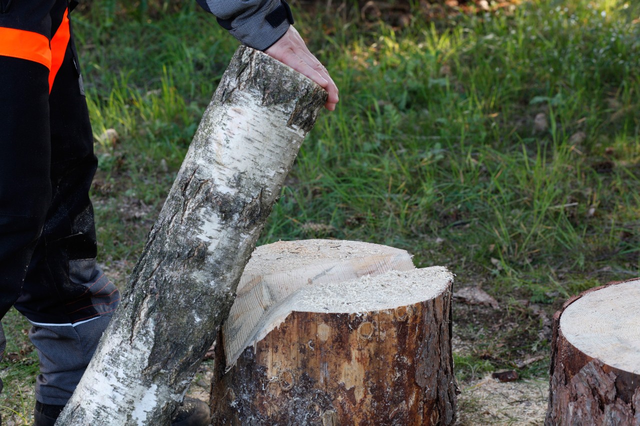 Doe-het-zelf houten kaarsen: een boomstam wordt in een V-inkeping in een boomstronk geplaatst