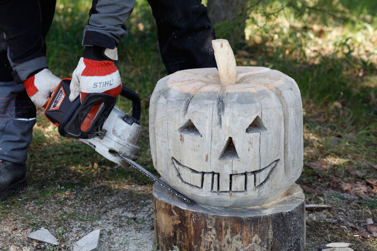 Een houten pompoen krijgt vorm met een STIHL MSA 140 C kettingzaag