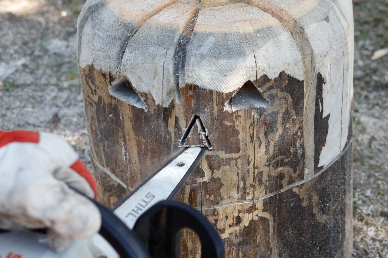 Een jack-o'lantern wordt uit een blok gezaagd met een STIHL MSA 140 C kettingzaag