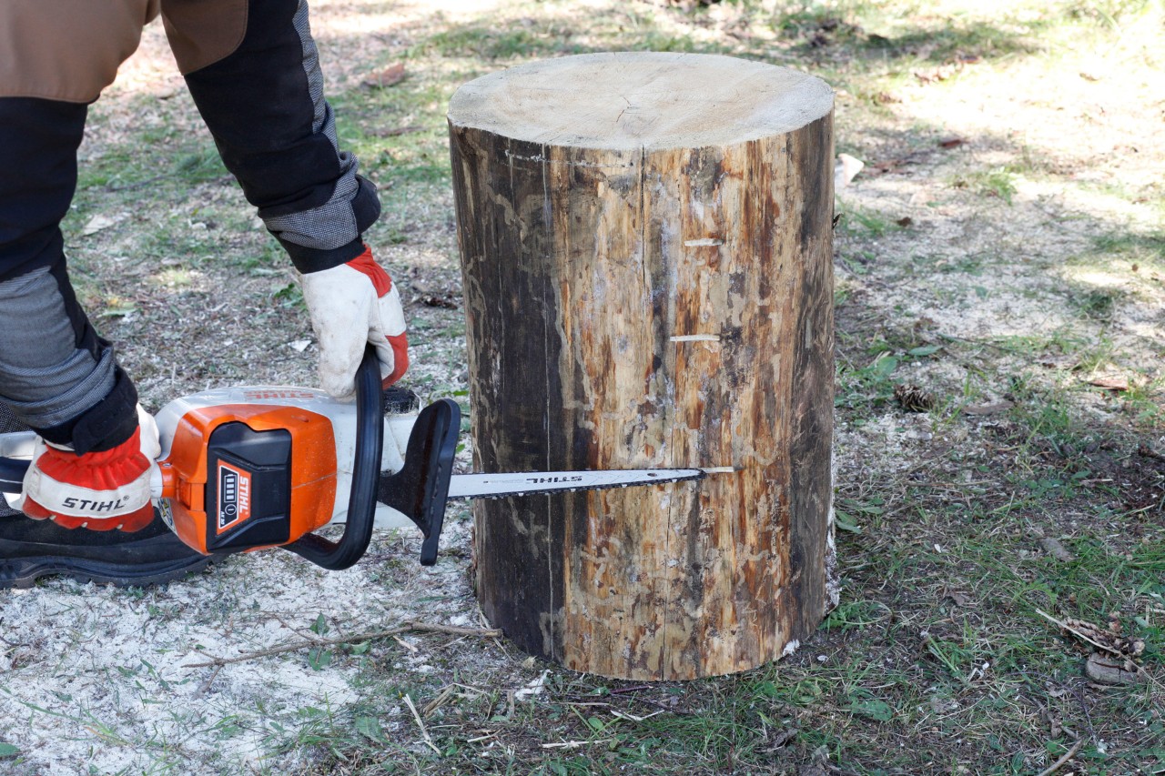 Inkepingen worden in een rechtopstaand houten blok gezaagd met een STIHL MSA 140 C kettingzaag