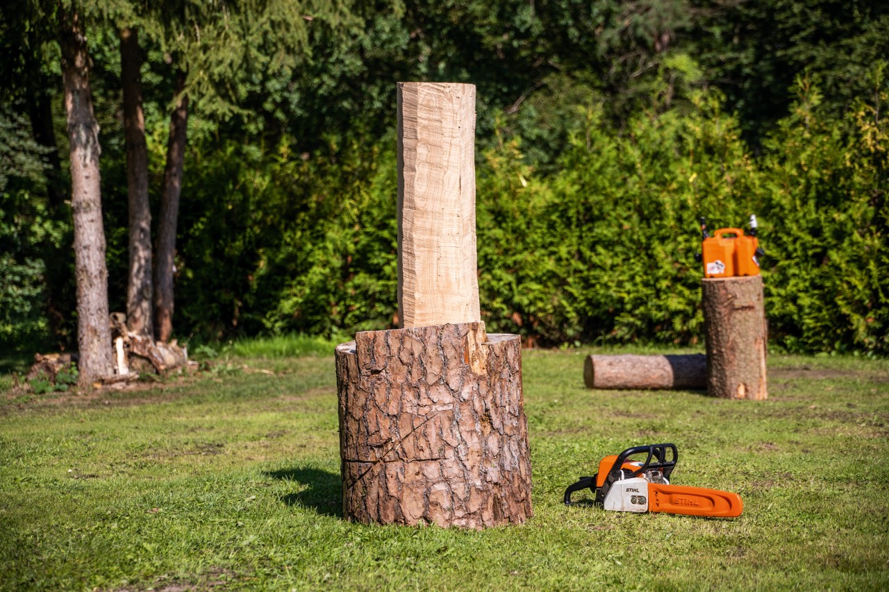 Ontschorste stam op een sokkel, daarnaast een STIHL kettingzaag met carvingzaagblad