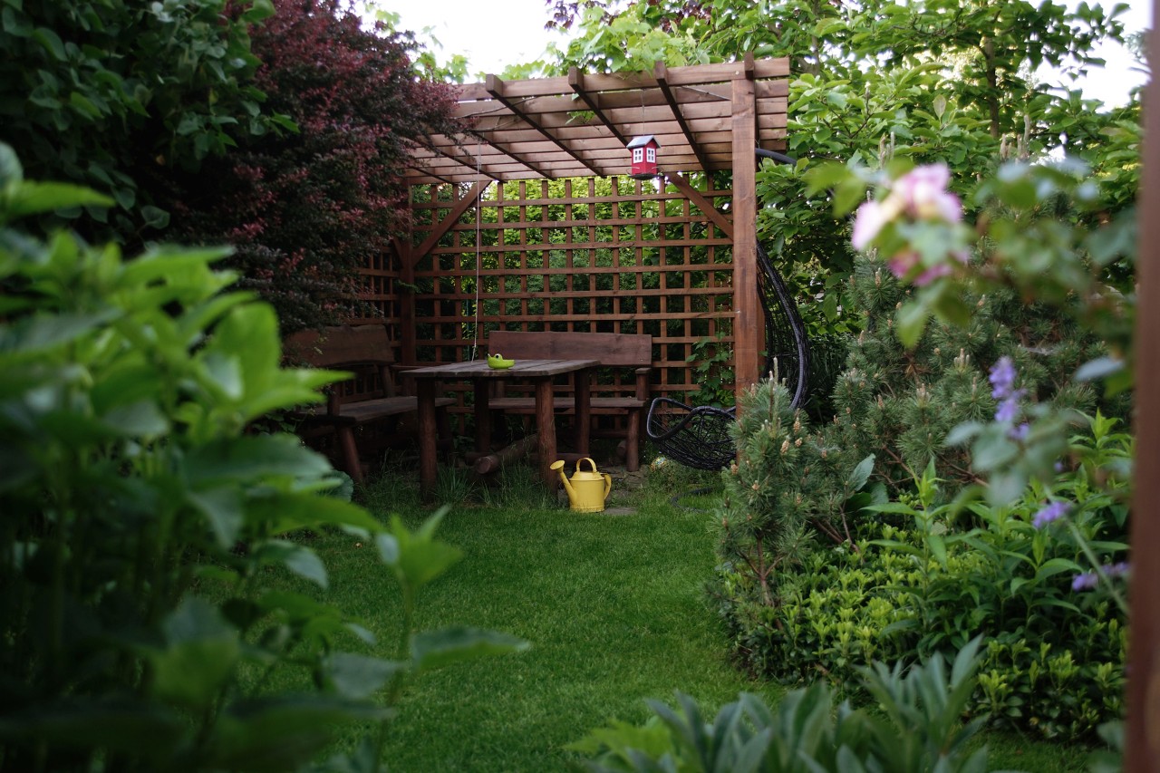 Houten pergola als klimhulp tussen groene en bloeiende struiken in de tuin
