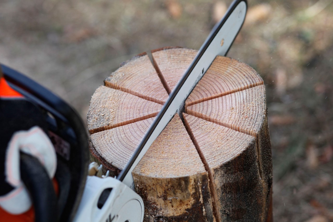Een boomstam wordt stervormig ingezaagd met een STIHL MS 181 C benzinekettingzaag